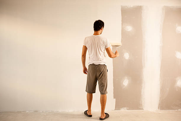 Best Drywall Sanding and Smoothing  in Le Claire, IA